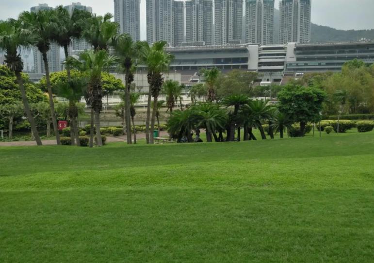 香港十大纪念馆，香港十大免费景点排行榜
