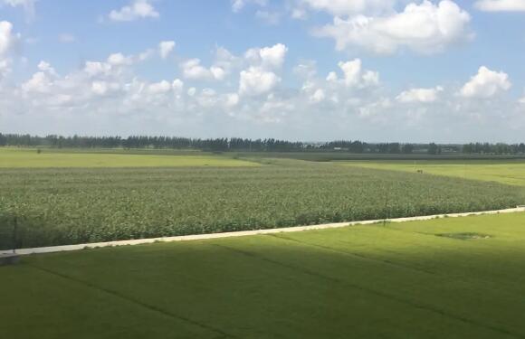 墓地风水的十大禁忌 墓地风水十大忌详细说明